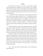 Savarankiška veikla mokykloje 3 puslapis