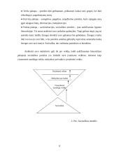 Savarankiška veikla mokykloje 8 puslapis