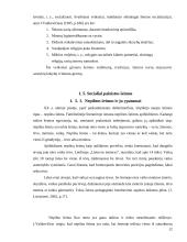 Socialiai pažeistos šeimos 12 puslapis