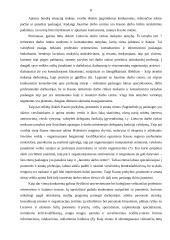 Marketingo komplekso vertinimo metodika: jaunimo darbo centro paslaugos 8 puslapis