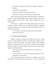Marketingo komunikacija įmonėje 13 puslapis