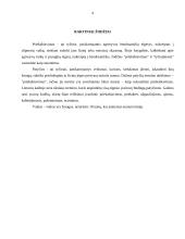 Socialinė pedagoginė pagalba sprendžiant vaikų tarpusavio priekabiavimo problemą 4 puslapis
