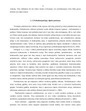Socialinė pedagoginė pagalba sprendžiant vaikų tarpusavio priekabiavimo problemą 9 puslapis