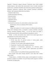 Marketingo planas: aliuminio-stiklo konstrukcijos UAB "Svelita" 13 puslapis