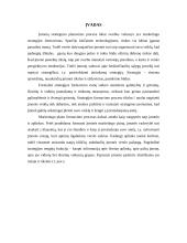 Marketingo planas: aliuminio-stiklo konstrukcijos UAB "Svelita" 3 puslapis