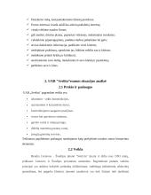 Marketingo planas: aliuminio-stiklo konstrukcijos UAB "Svelita" 6 puslapis
