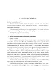 Sveikos mitybos reikšmė nėščiosios sveikatai 6 puslapis
