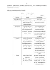 Marketingo planas: batų parduotuvė "Batų pasaulis" 6 puslapis