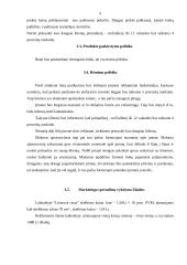 Marketingo planas: batų parduotuvė "Batų pasaulis" 9 puslapis