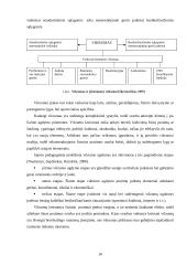 Šeštos klasės moksleivių fizinio pajėgumo vertinimas 10 puslapis