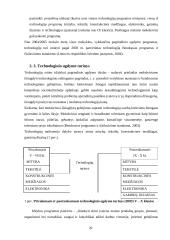 Technologijų mokymo organizavimo pagrindinėje mokykloje ypatumai 20 puslapis