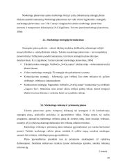 Marketingo planas: Jonavos viešbutis "Svečių namai" 19 puslapis