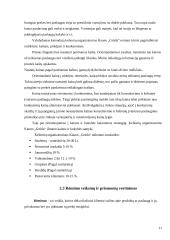 Marketingo planas: kelionių organizavimas UAB "Kauno grūda" 10 puslapis