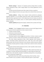 Marketingo planas: kelionių organizavimas UAB "Kauno grūda" 9 puslapis