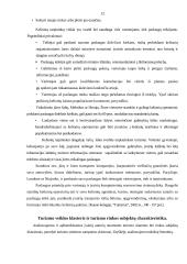 Turizmo rinkos tarpininkų paslaugos 12 puslapis