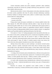 Turizmo rinkos tarpininkų paslaugos 13 puslapis