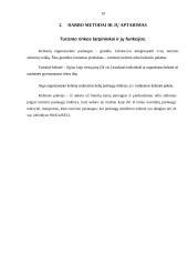 Turizmo rinkos tarpininkų paslaugos 19 puslapis
