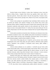 Turizmo rinkos tarpininkų paslaugos 3 puslapis