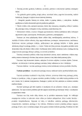 Turizmo rinkos tarpininkų paslaugos 6 puslapis