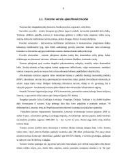 Turizmo rinkos tarpininkų paslaugos 8 puslapis
