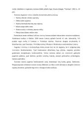 Turizmo rinkos tarpininkų paslaugos 9 puslapis