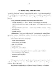 Turizmo rinkos tarpininkų paslaugos 10 puslapis