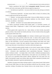 Vadybos sprendimų efektyvumas: UAB "Penki kontinentai" 9 puslapis