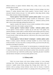 Marketingo planas: UAB "Guliverio kelionės" 12 puslapis