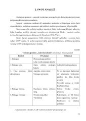 Marketingo planas: UAB "Guliverio kelionės" 15 puslapis