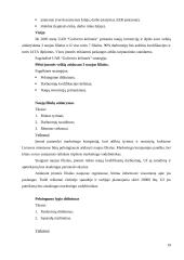 Marketingo planas: UAB "Guliverio kelionės" 19 puslapis