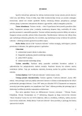 Marketingo planas: UAB "Guliverio kelionės" 3 puslapis