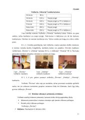 Marketingo planas: viešbutis "Širvinta" 11 puslapis