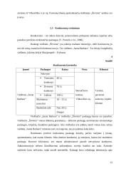 Marketingo planas: viešbutis "Širvinta" 13 puslapis