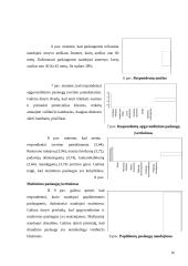 Marketingo planas: viešbutis "Širvinta" 16 puslapis