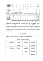 Marketingo planas: viešbutis "Širvinta" 20 puslapis
