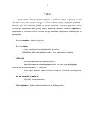 Marketingo rėmimo programa 2 puslapis