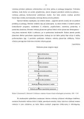 Marketingo rėmimo programa 11 puslapis