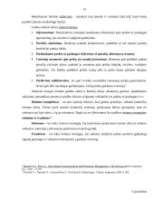 Marketingo rėmimo programa 13 puslapis