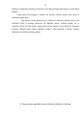 Marketingo rėmimo programa 15 puslapis