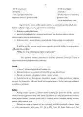 Marketingo rėmimo programa 17 puslapis