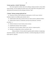 Marketingo rėmimo programa 19 puslapis