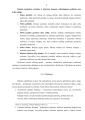 Marketingo rėmimo programa 6 puslapis