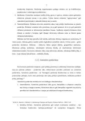 Marketingo rėmimo programa 7 puslapis