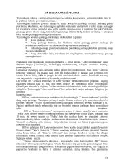 Marketingo strategija: AB "Lietuvos telekomas" 13 puslapis