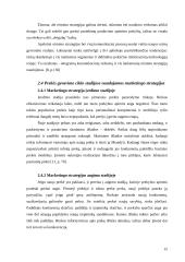 Įmonės marketingo komplekso strategijos 14 puslapis