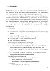 Veiksniai, formuojantys vaikų žaidimus 17 puslapis