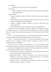 Veiksniai, formuojantys vaikų žaidimus 18 puslapis