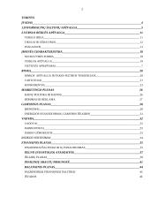 Verslo aprašymas: autoservisas "Tanagra" 2 puslapis