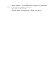 Verslo aprašymas: autoservisas "Tanagra" 12 puslapis