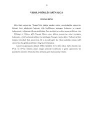 Verslo aprašymas: autoservisas "Tanagra" 15 puslapis